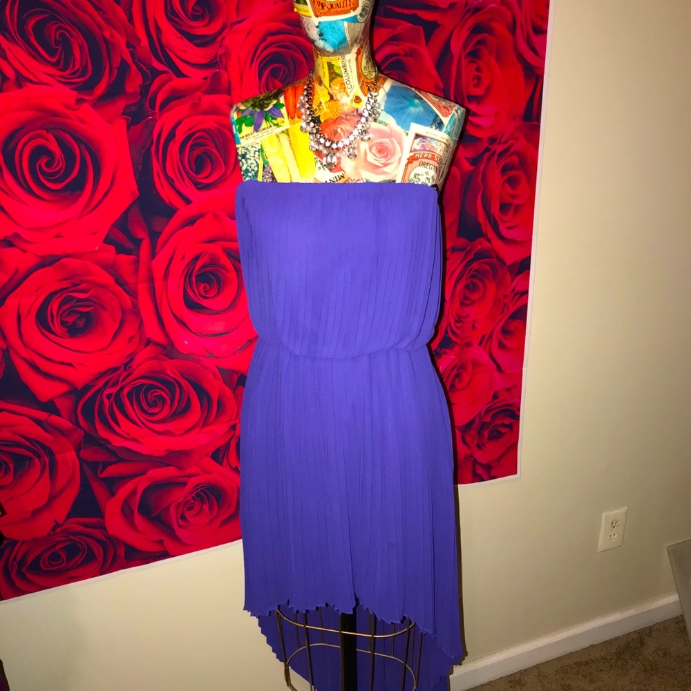 BCBG Purple pleated hi-low tube dress
